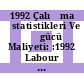 1992 Çalışma İstatistikleri Ve İşgücü Maliyeti: :1992 Labour Statıstıcs And Labour Cost.
