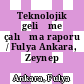 Teknolojik gelişme çalışma raporu / Fulya Ankara, Zeynep Bozkurt