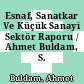 Esnaf, Sanatkar Ve Küçük Sanayi Sektör Raporu / Ahmet Buldam, S. Afacan.