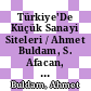 Türkiye'De Küçük Sanayi Siteleri / Ahmet Buldam, S. Afacan, Aydın Baştan.