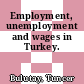 Employment, unemployment and wages in Turkey.