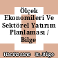 Ölçek Ekonomileri Ve Sektörel Yatırım Planlaması / Bilge Hacıhasanoğlu.
